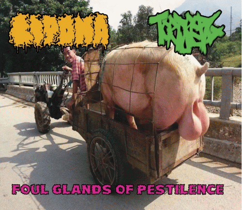Torture Pig : Foul Glands of Pestilence